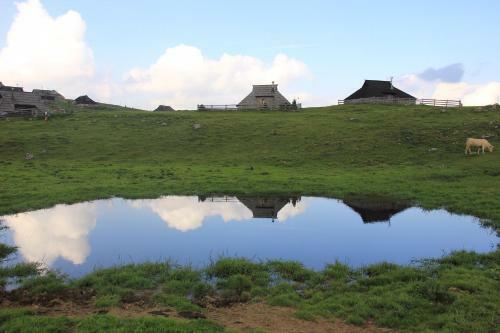 Apartamento Chalet Slovenka Velika Planina