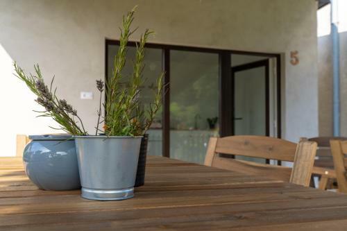 Hostal The Foxhouse
