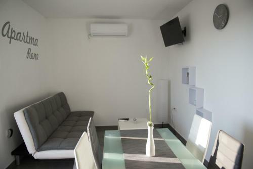 Apartma Rene