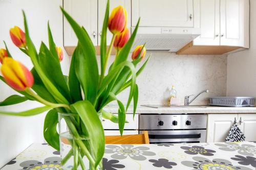 Apartamento Oleander