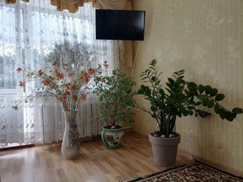 Apartamento ??????????? ? ?????? ?????