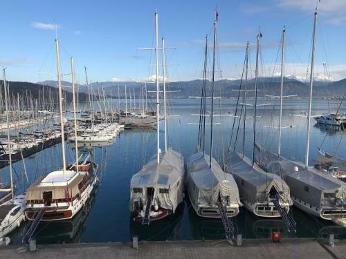Hotel Ece Marina Suit