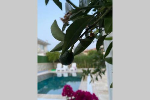 Fethiye 3+1 M�stakil Havuzlu Villa