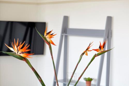 Redcliffe Parade - Your Apartment