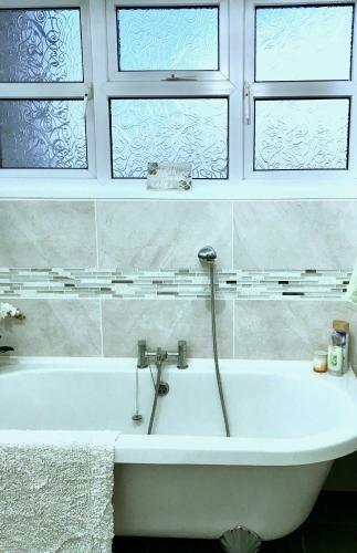 Hostal Fox View Guesthouse