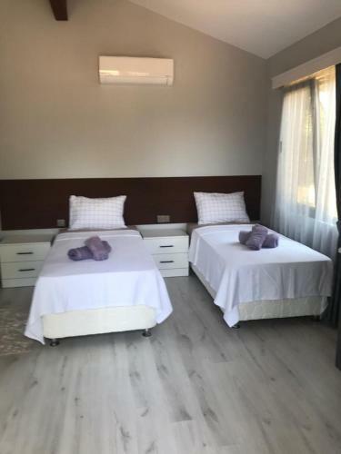 Agroturismo Hall Studio