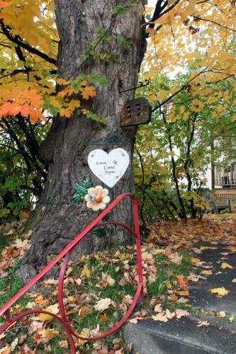 Bed & Breakfast O'berge Du Pignon