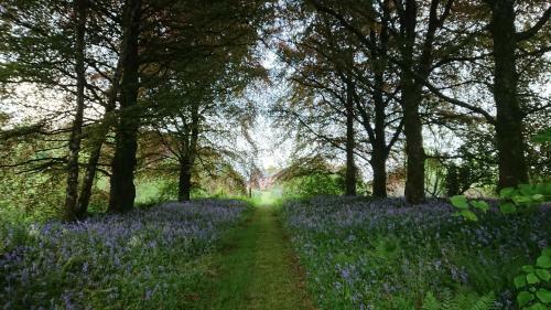 Agroturismo Ballylough House