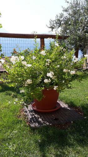 Agroturismo Agriturismo Botton D'oro