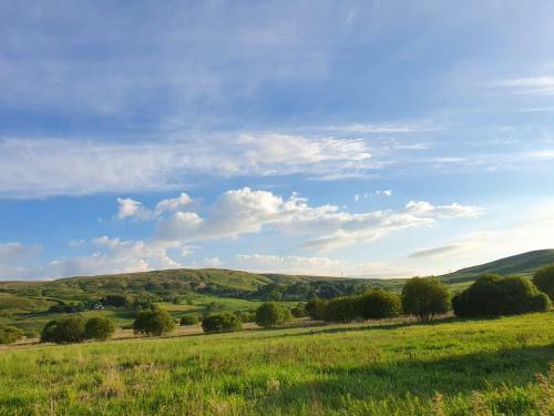 Rose Cottage Book 7 Nights Get One Night Free