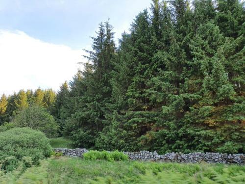 Rose Cottage Book 7 Nights Get One Night Free