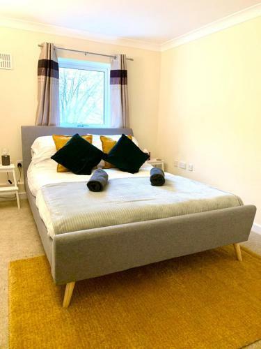 Stylish And Convenient Cambridge City Apartment