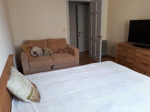 The Room 1,7 ?m (18 Min) From Stadium Olimpiysky
