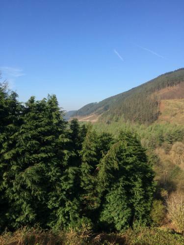 Rowan House Bed & Breakfast & Self Contained Self Catering Apartment