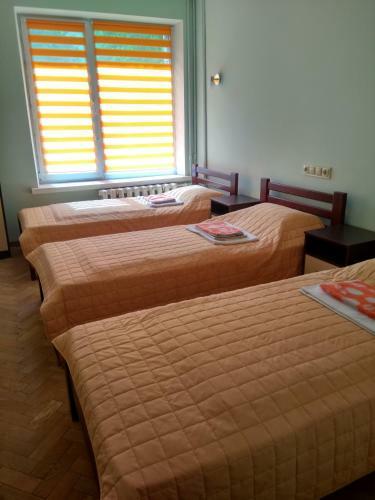 Hotel Tsentralnoho Budynku Khudozhnyka