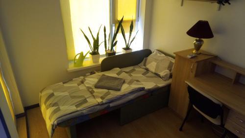 Excellent Studio Apartaments In A Secure Residential Complex Comfort Town 1