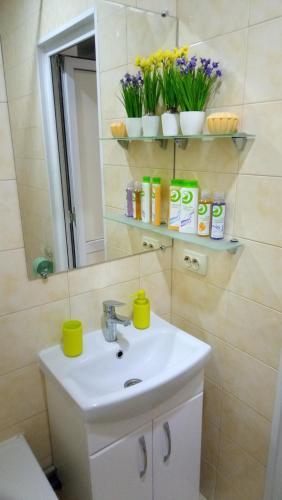 Excellent Studio Apartaments In A Secure Residential Complex Comfort Town 1