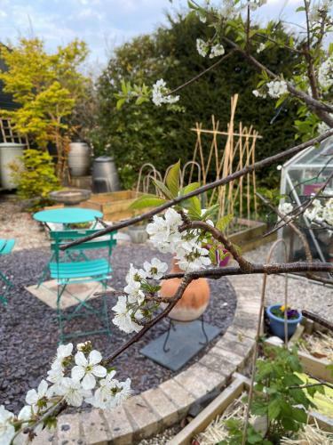 Apartamento Little Haven