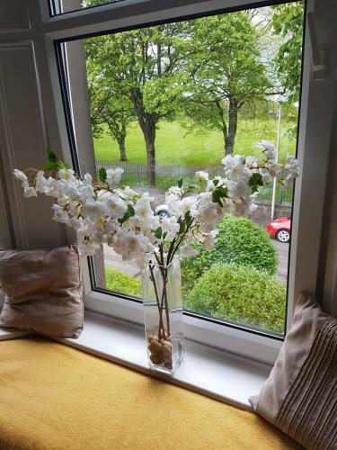 Baxter Park Views Apartment Close To City Centre