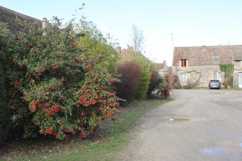 Bed & Breakfast A La Ferme De La Joie - Chambres D'h�tes