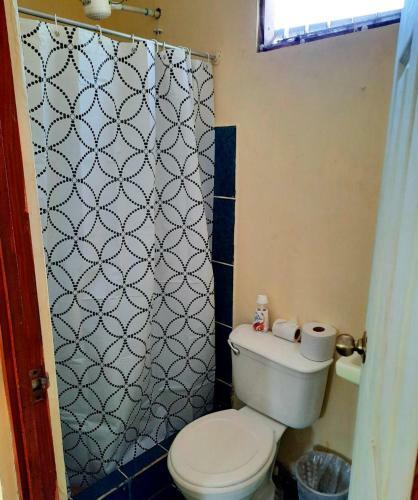 Hostal Apartamentos Morpho Cr