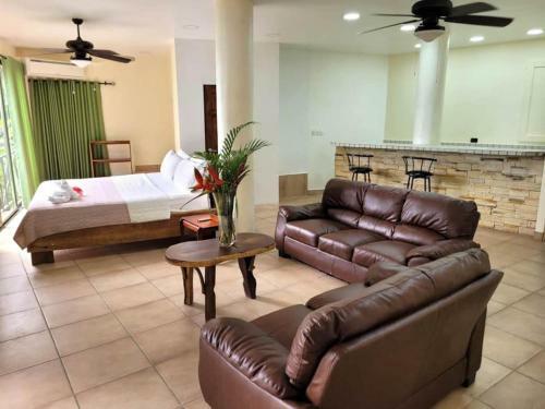 Villa Casa Castillo, 3 Or 6 Bdr, Manuel Antonio, Ocean View