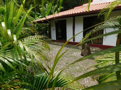 Villas Jungle 5