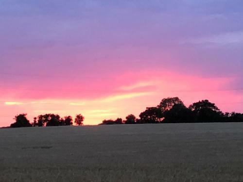 Chrisdee's Suffolk Pods