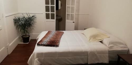 Posada Casa Mayela Guest House