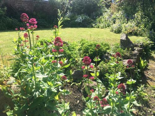 Secret Garden Cottage