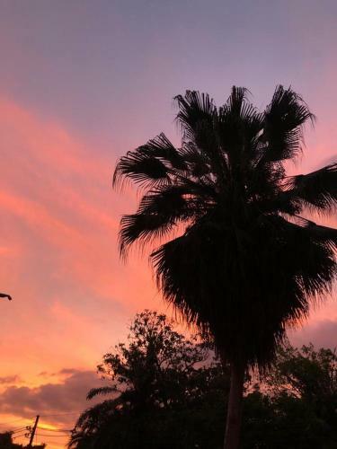 Bed & Breakfast Hotel Colibri