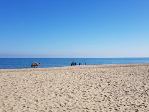 Apartamento Appartement Au Centre De Martil
