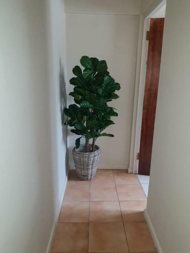 Apartamento Robins Rest