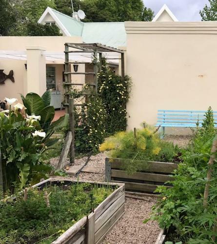Hostal Oak Tree Garden Cottage