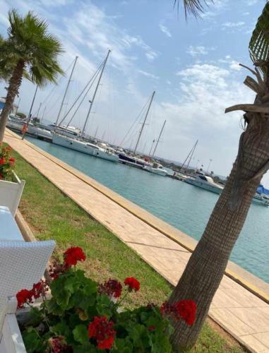 Apartamento Joli Appartement Sa�dia