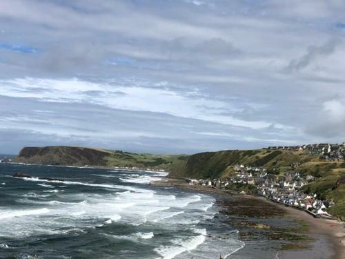 Puffins Nest