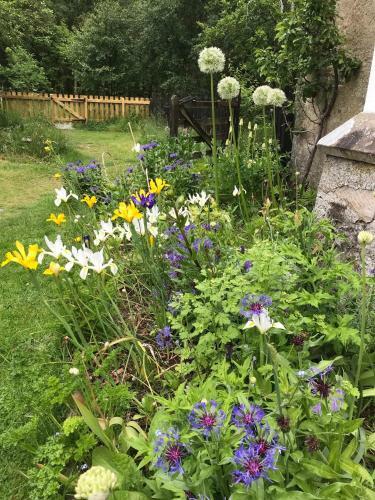 Thistle Cottage, Crannachcottages