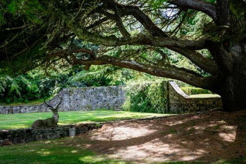 Scatwell House