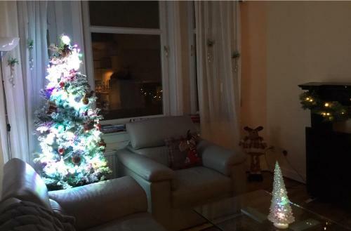Fantastic Victorian Apartment Next To Glasgow Green Park