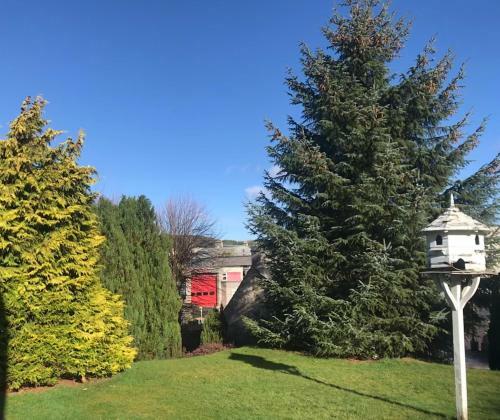 Bed & Breakfast Garden Park Guest House