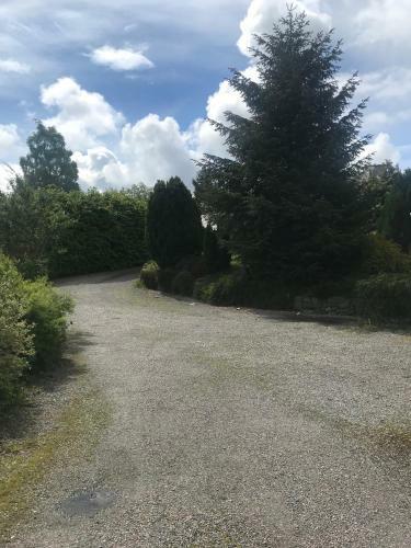 Bed & Breakfast Garden Park Guest House