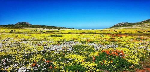 Apartamento Golfers Studio A1 - Langebaan Golf Estate