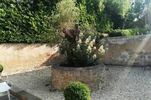 Artist's Studio In Edge In Stunning Countryside.