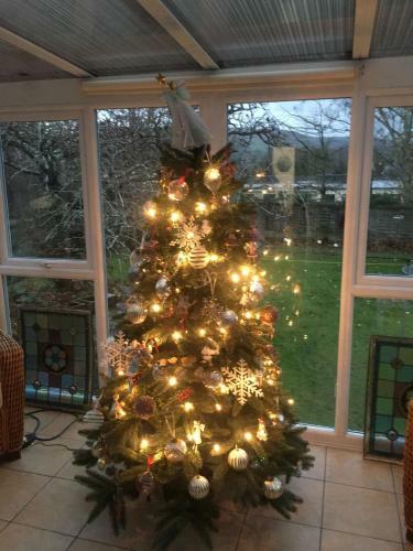 Hostal The Firs At Hay-on-wye B&B