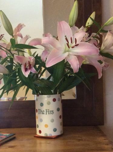 Hostal The Firs At Hay-on-wye B&B