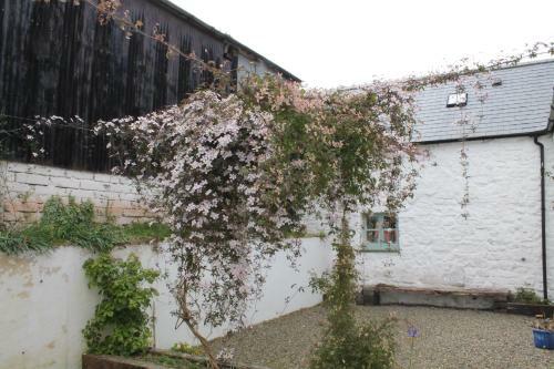 The Barn @ Mill Haven Place, 3 Bedroom Cottage