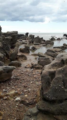 Combe Haven Harley Mead