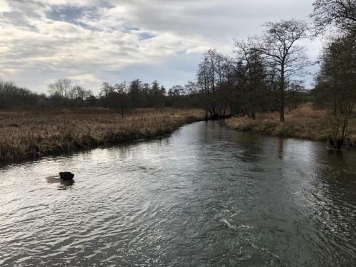 Secluded Getaway In Beautiful Norfolk Village