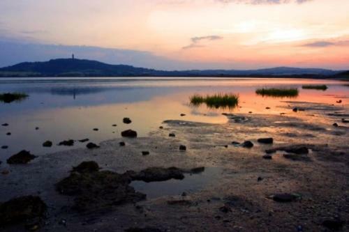 The Nest - A Sanctuary On Strangford Lough