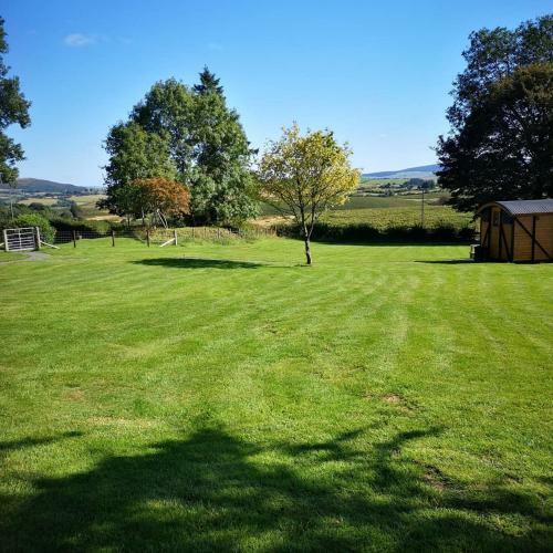 Pen-rhos Luxury Glamping "the Hare Hut"